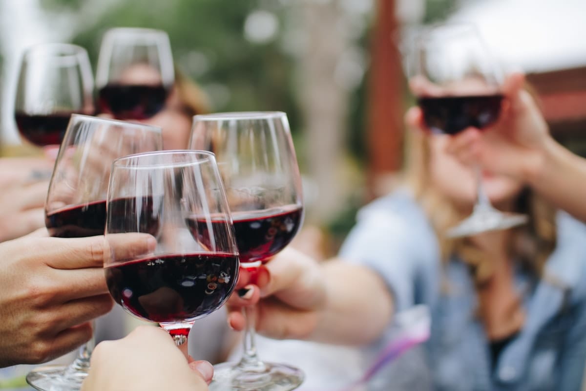 Sommelier-led wine tasting